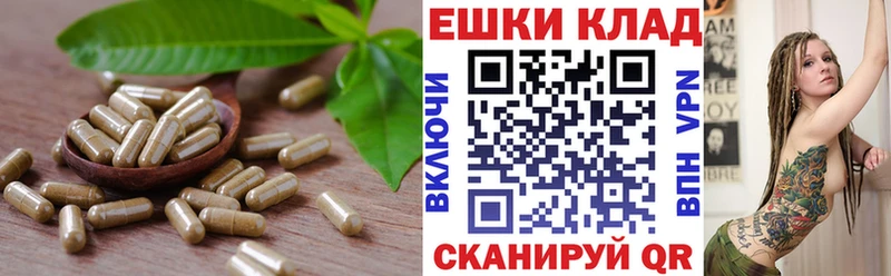 Экстази Cube Зеленодольск