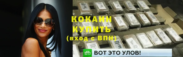 дживик Горнозаводск