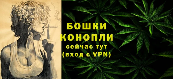 2c-b Вяземский