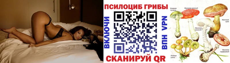 Галлюциногенные грибы Psilocybine cubensis  хочу наркоту  Зеленодольск 